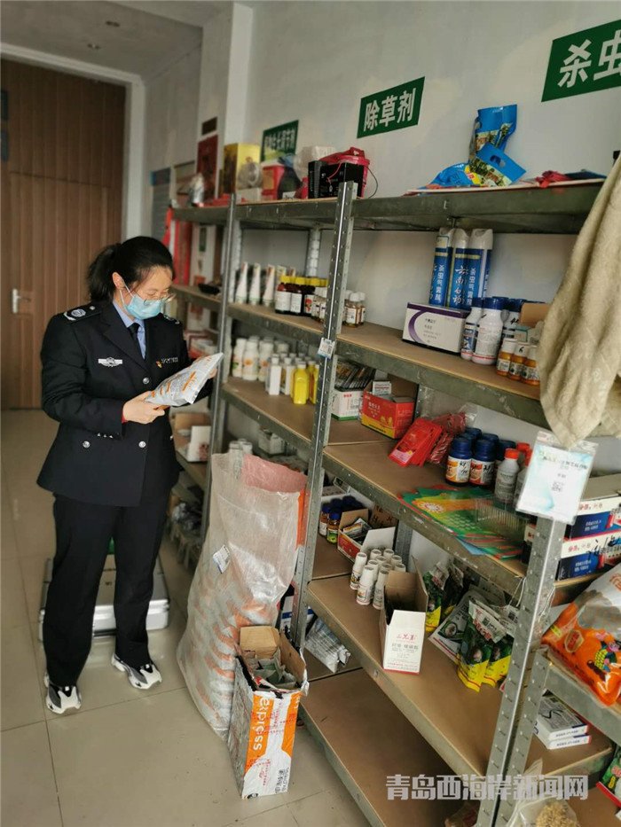 圖為西海岸新區(qū)農(nóng)業(yè)綜合行政執(zhí)法大隊(duì)執(zhí)法隊(duì)員在查看玉米種子包裝。.jpg